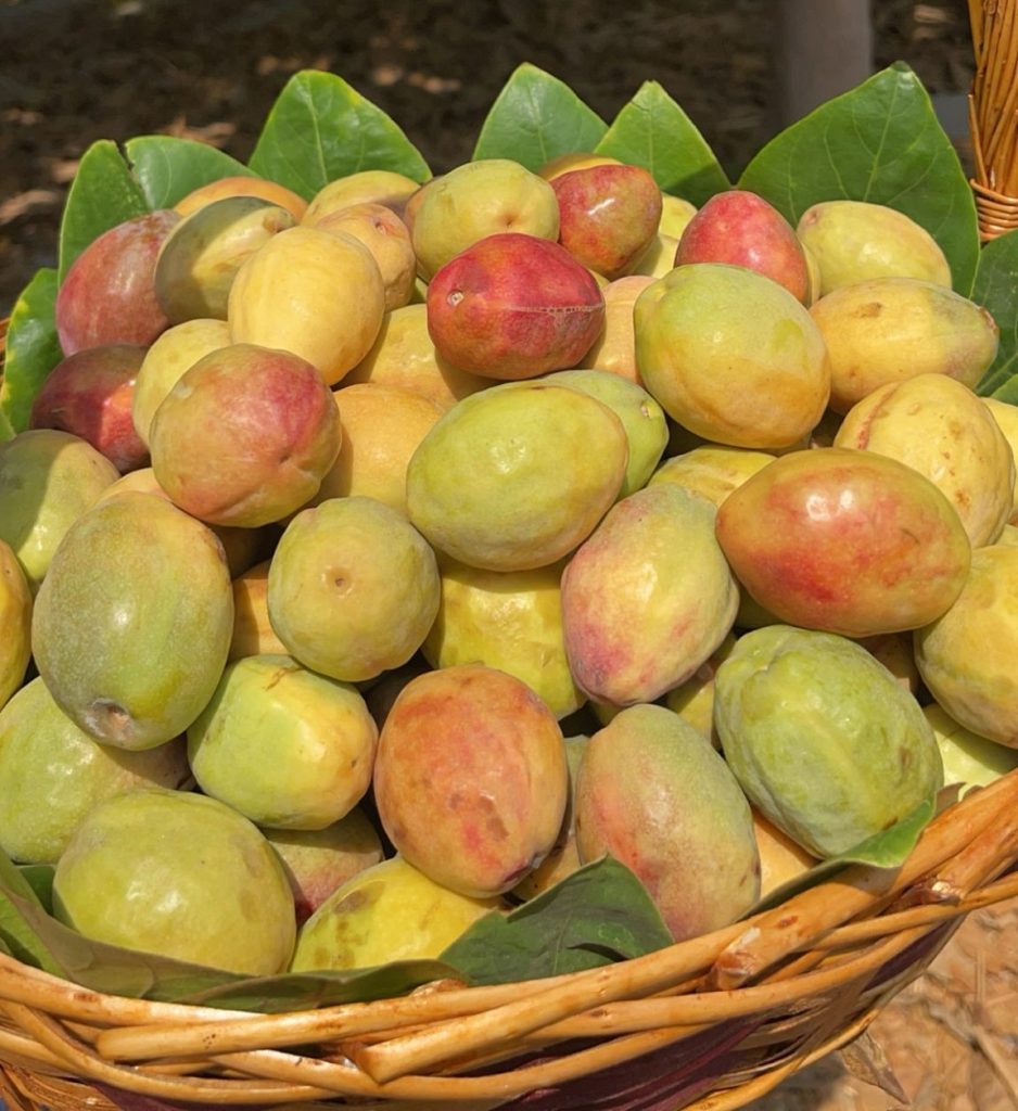 WhatsApp Image 2024 02 16 at 10 04 52 PM 938x1024