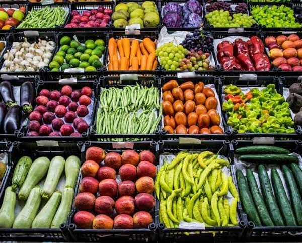 WhatsApp Image 2024 02 14 at 12 26 52 AM 2 600x483